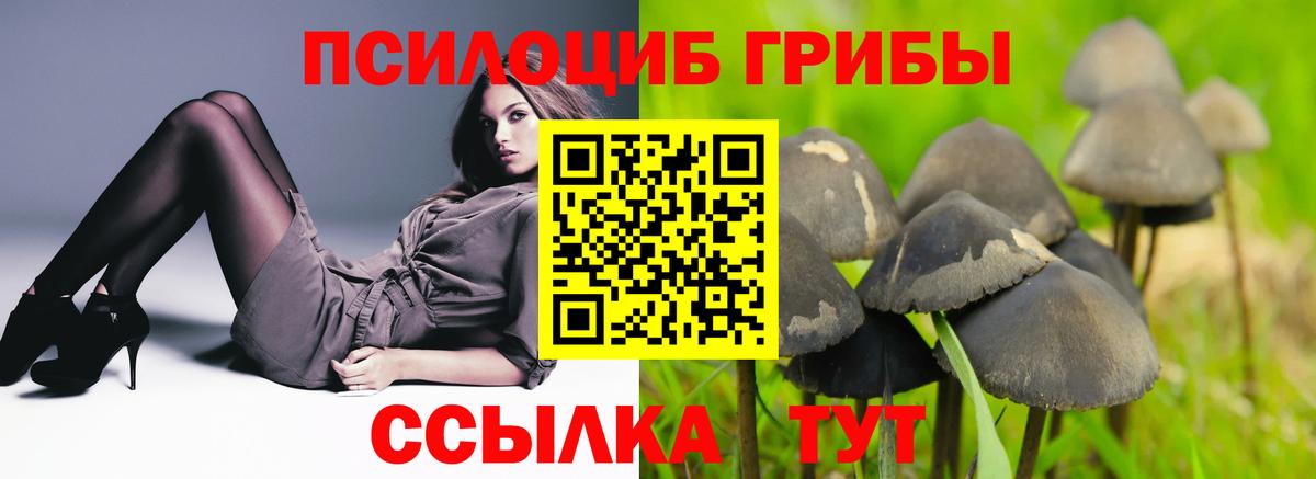 Галлюциногенные грибы Magic Shrooms Лесозаводск